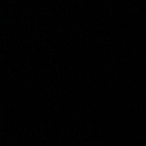 Meet your Posher, Shaylin